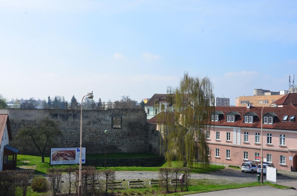 Guesthouse Zlaty Hrozen Česká Lípa المظهر الخارجي الصورة