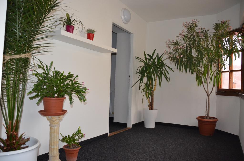 Guesthouse Zlaty Hrozen Česká Lípa المظهر الخارجي الصورة