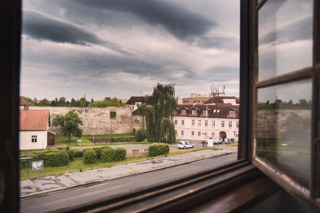 Guesthouse Zlaty Hrozen Česká Lípa المظهر الخارجي الصورة