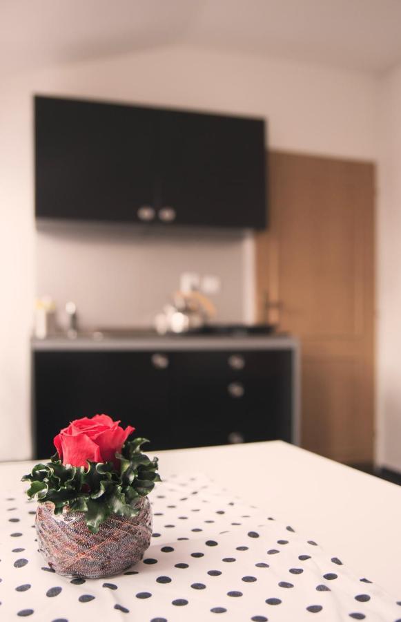 Guesthouse Zlaty Hrozen Česká Lípa المظهر الخارجي الصورة