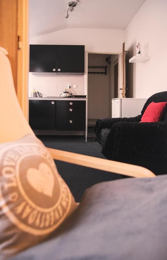 Guesthouse Zlaty Hrozen Česká Lípa المظهر الخارجي الصورة
